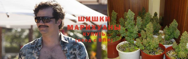 не бодяженный Нефтегорск