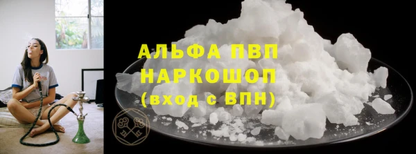стаф Нея