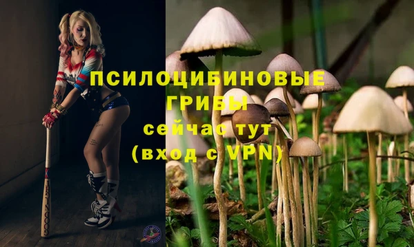 трава Нефтекумск