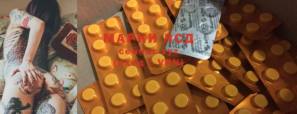 стаф Нея