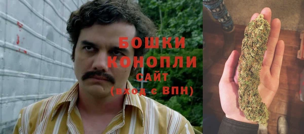 стаф Нея